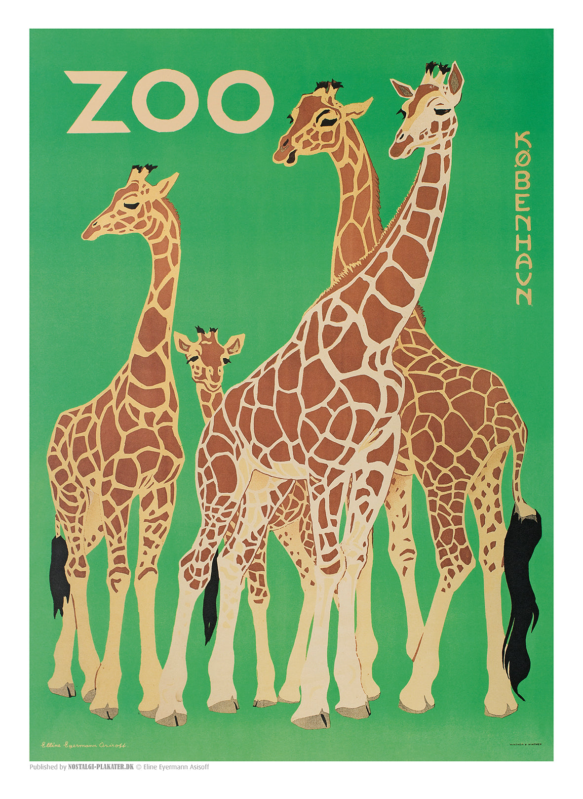 Zoo 13