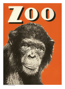 Zoo 19