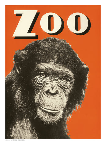 Zoo 19