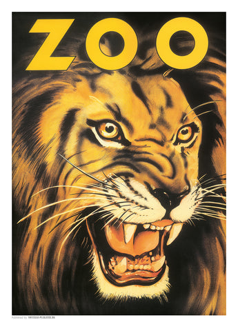 Zoo 20